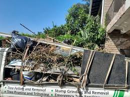 Shed Removal in Alliance, NC